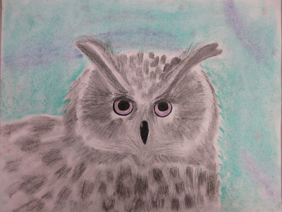 art piece of a grey owl drawn by Zoe J.